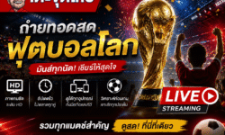 ถ่ายทอดสดฟุตบอลโลก ดูสดผ่านช่องทางไหน พร้อมวิธีติดตามทุกแมตช์