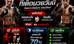 ทีเด็ดมวยดูอย่างไร รวมแนวทางคัดเลือกคู่มวย