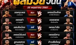 ผลมวยวันนี้ดูที่ไหน วิธีอ่านผลการแข่งขันและข้อมูลสำคัญ