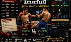 มวยวันนี้ เช็กโปรแกรมการแข่งขัน วิเคราะห์คู่เด่น และข้อมูลสำคัญก่อนขึ้นสังเวียน