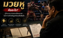 มวยหู คืออะไร บทบาทซียนมวยและการฟังข้อมูลก่อนตัดสินใจ