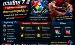 มวยไทย 7 สี รายการมวยยอดนิยม ถ่ายทอดสดทุกสัปดาห์ พร้อมข้อมูลที่ควรรู้