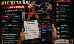 ราคามวยวันนี้ อ่านราคาอย่างไรให้เข้าใจเกมก่อนขึ้นเวที