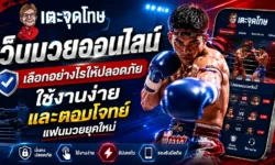 เว็บมวยออนไลน์ เลือกอย่างไรให้ปลอดภัย ใช้งานง่าย และตอบโจทย์แฟนมวยยุคใหม่ 