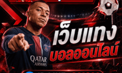 เว็บแทงบอลออนไลน์เลือกยังไง