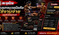 เว็บแทงมวยมือถือ ใช้งานง่าย รองรับทุกอุปกรณ์ พร้อมวิธีเลือกเว็บที่ปลอดภัย