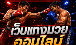 เว็บแทงมวยเลือกยังไง วิธีดูเว็บน่าเชื่อถือสำหรับมือใหม่