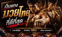 เว็บแทงมวยไทยที่ดีที่สุดเลือกจากอะไร คู่มือเปรียบเทียบก่อนตัดสินใจสมัคร 