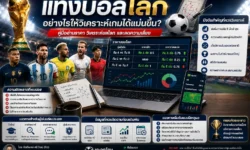 แทงบอลโลกอย่างไรให้วิเคราะห์เกมได้ลึกกว่าแค่ตามกระแส