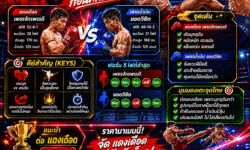 แทงมวยอย่างไรให้เข้าใจเกมมากขึ้น คู่มือเริ่มต้นสำหรับผู้ที่ต้องการเดิมพันมวยอย่างมีเหตุผล