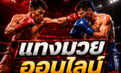 แทงมวยออนไลน์เริ่มต้นยังไง คู่มือเดิมพันมวยอย่างมีเหตุผลสำหรับมือใหม่