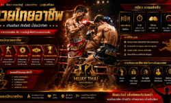 มวยไทยอาชีพ เส้นทางนักมวยอาชีพ กติกา การแข่งขัน และการพัฒนาอาชีพ