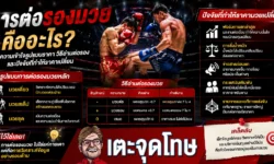 การต่อรองมวย คืออะไร? ทำความเข้าใจรูปแบบราคา วิธีอ่านต่อรอง และปัจจัยที่ทำให้ราคาเปลี่ยน