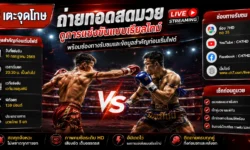 ถ่ายทอดสดมวย ดูการแข่งขันแบบเรียลไทม์ พร้อมช่องทางรับชมและข้อมูลสำคัญก่อนเริ่มไฟต์