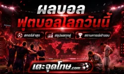 ผลบอลฟุตบอลโลกวันนี้ เช็กผลการแข่งขัน สกอร์ล่าสุด และสรุปทุกคู่