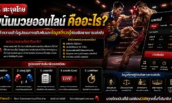 พนันมวยออนไลน์ คืออะไร? ทำความเข้าใจรูปแบบการเดิมพันและข้อมูลที่ควรรู้ก่อนติดตามการแข่งขัน