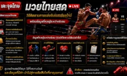 มวยไทยสด วิธีติดตามการแข่งขันแบบเรียลไทม์ พร้อมข้อมูลที่ควรรู้ระหว่างรับชม