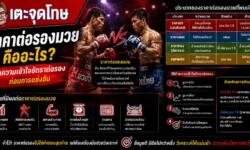 ราคาต่อรองมวย คืออะไร วิธีทำความเข้าใจอัตราต่อรองก่อนการแข่งขัน