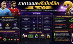 ราคาบอลพรีเมียร์ลีก คืออะไร? วิธีอ่านราคา ความหมายของอัตราต่อรอง และปัจจัยที่ทำให้ราคาเปลี่ยน