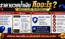 ราคามวยน้ำเงิน คืออะไร? วิธีอ่านราคา ความหมายของฝั่งน้ำเงิน และปัจจัยที่ทำให้ราคาเปลี่ยน