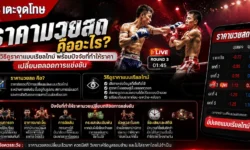 ราคามวยสด คืออะไร? วิธีดูราคาแบบเรียลไทม์ พร้อมปัจจัยที่ทำให้ราคาเปลี่ยนตลอดการแข่งขัน