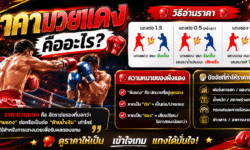 ราคามวยแดง คืออะไร? วิธีอ่านราคา ความหมายของฝั่งแดง และปัจจัยที่ทำให้ราคาเปลี่ยน