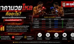 ราคามวยไหล คืออะไร วิธีอ่านการเปลี่ยนแปลงราคามวยก่อนแข่งขันอย่างเข้าใจ