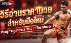 วิธีอ่านราคามวย สำหรับมือใหม่ เรียนรู้การดูราคาและวิเคราะห์อัตราต่อรองอย่างเข้าใจ