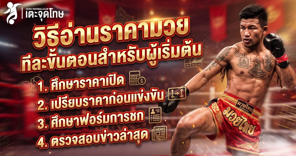 วิธีอ่านราคามวยทีละขั้นตอนสำหรับผู้เริ่มต้น