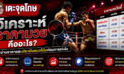 วิเคราะห์ราคามวย วิธีอ่านราคาและประเมินแนวโน้มก่อนการแข่งขัน
