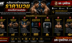 วิธีดูราคามวย เข้าใจการอ่านราคา การต่อรอง และปัจจัยที่ทำให้ราคาเปลี่ยน