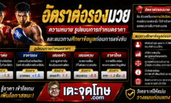 อัตราต่อรองมวย ความหมาย รูปแบบการกำหนดราคา และแนวทางศึกษาข้อมูลก่อนการแข่งขัน