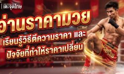 อ่านราคามวย อย่างถูกต้อง เรียนรู้วิธีตีความราคาและปัจจัยที่ทำให้ราคาเปลี่ยน