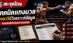 เทคนิคแทงมวย ศึกษาวิธีวิเคราะห์ข้อมูลก่อนตัดสินใจก่อนการแข่งขัน