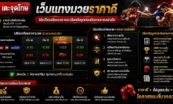เว็บแทงมวยราคาดี วิธีเปรียบเทียบราคาและเลือกข้อมูลก่อนติดตามการแข่งขัน