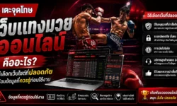 เว็บแทงมวยออนไลน์ คืออะไร? วิธีเลือกเว็บไซต์ที่ปลอดภัย พร้อมข้อมูลที่ควรรู้ก่อนใช้งาน