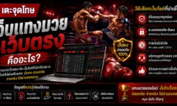 เว็บแทงมวยเว็บตรง คืออะไร? วิธีเลือกเว็บไซต์ที่น่าเชื่อถือ พร้อมข้อมูลที่ควรรู้ก่อนใช้งาน