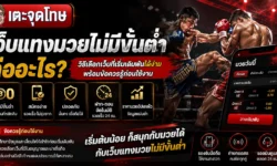 เว็บแทงมวยไม่มีขั้นต่ำ คืออะไร วิธีเลือกเว็บที่เริ่มเดิมพันได้ง่าย พร้อมข้อควรรู้ก่อนใช้งาน