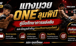 แทงมวย ONE ลุมพินี คู่มือศึกษาการแข่งขัน และข้อมูลสำคัญก่อนติดตามทุกไฟต์