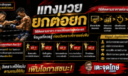แทงมวยยกต่อยก วิธีติดตามราคา การเปลี่ยนแปลงแต่ละยก และข้อมูลที่ควรรู้ก่อนวิเคราะห์การแข่งขัน
