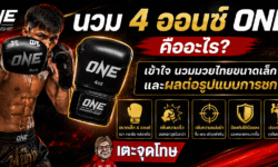 นวม 4 ออนซ์ ONE คืออะไร เข้าใจนวมมวยไทยขนาดเล็กและผลต่อรูปแบบการชก