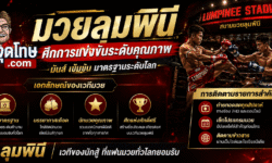มวยลุมพินี ศึกการแข่งขันระดับคุณภาพ เอกลักษณ์ของเวทีมวย และการติดตามรายการสำคัญ