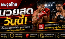 มวยสดวันนี้ เช็กคู่ชก เวลาแข่งขัน รายการมวย และข้อมูลก่อนขึ้นเวที