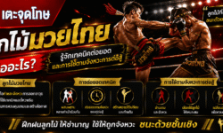 ลูกไม้มวยไทย คืออะไร รู้จักเทคนิคต่อยอดและการใช้ตามจังหวะการต่อสู้