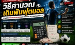 วิธีคำนวณเดิมพันฟุตบอล เข้าใจการคิดราคาบอล อัตราต่อรอง และผลตอบแทนแบบละเอียด