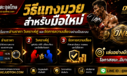 วิธีแทงมวยสำหรับมือใหม่ เริ่มจากอ่านราคา วิเคราะห์คู่ และจัดการความเสี่ยงอย่างเป็นระบบ