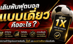 เดิมพันฟุตบอลแบบเดี่ยว คืออะไร? ทำความเข้าใจรูปแบบการเดิมพัน ข้อดี และแนวทางศึกษาก่อนเริ่มต้น