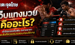 เว็บแทงมวย คืออะไร เข้าใจระบบเดิมพัน ตลาดราคา และสิ่งที่ควรตรวจสอบก่อนใช้งาน