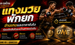 แทงมวยพักยก อ่านเกมและราคายังไงก่อนตัดสินใจระหว่างการแข่งขัน