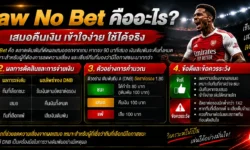 Draw No Bet คืออะไร? เข้าใจ DNB และเสมอคืนทุนแบบง่าย
